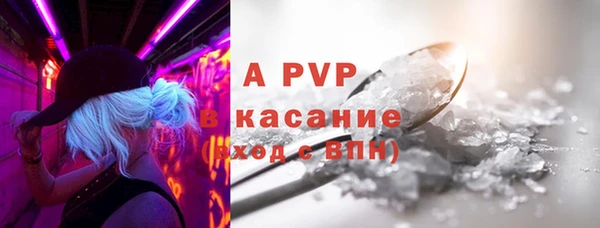 эйфоретик Белокуриха