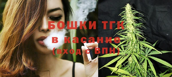 эйфоретик Белокуриха