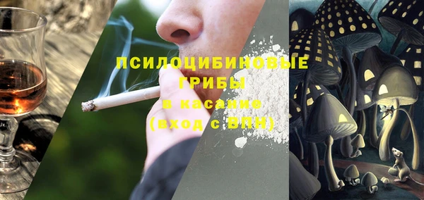 дмт Краснослободск