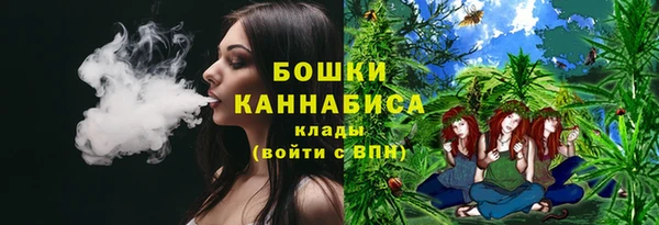 прущие грибы Белоозёрский